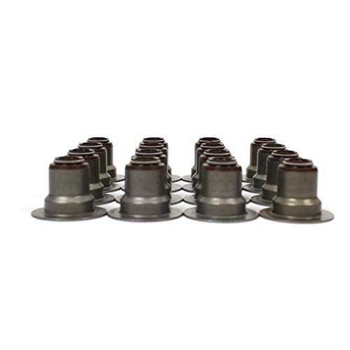 CNS Valve Stem Seal Set (16v) Compatible with 2001-16 GM V8 VORTEC 4.8L 5.3L 6.0L 6.2L Chevrolet Silverado GMC Savana Sierra Yukon Isuzu Ascender - Image 3