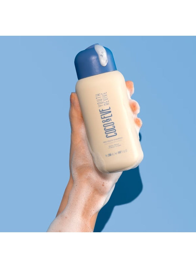 Coco & Eve Youth Revive Pro Youth Shampoo 280ml - Image 2