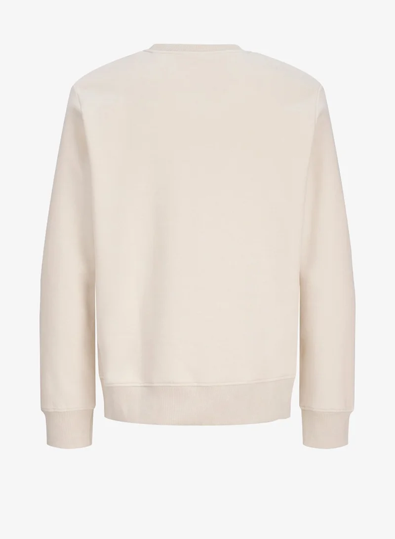 JACK & JONES  Solid Crew Neck Regular Fit Sweatshirt for Men | Best Price UAE