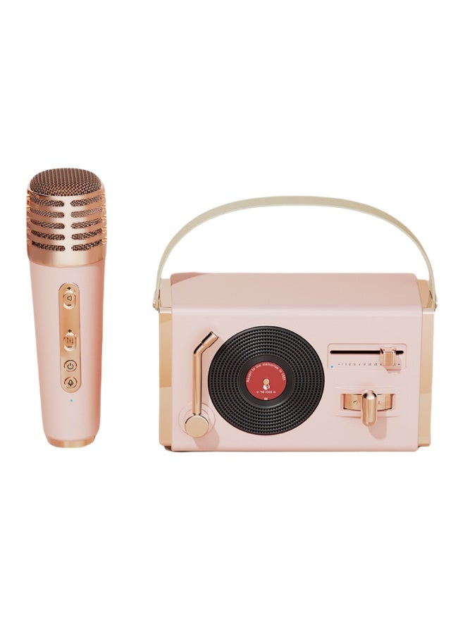 EBMINI Microphone Bluetooth Speaker With Microphone Singing Speaker All-In-One Machine