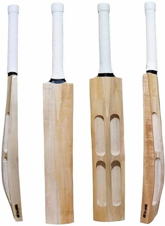 مضرب كريكيت VB Sports Plain Scoop Kashmir، حجم كامل، خشب الصفصاف، مناسب لكرات التنس الصلبة، عبوة من قطعة واحدة - Image 1