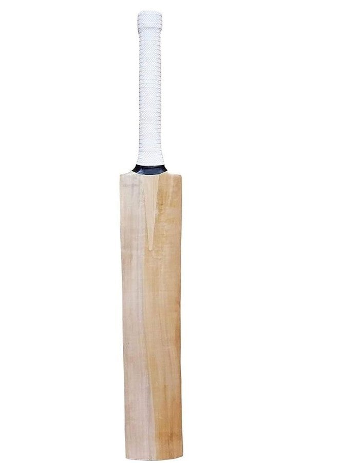 مضرب كريكيت VB Sports Plain Scoop Kashmir، حجم كامل، خشب الصفصاف، مناسب لكرات التنس الصلبة، عبوة من قطعة واحدة - Image 3