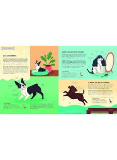Lonely Planet Kids Atlas of Dogs  - Image 5