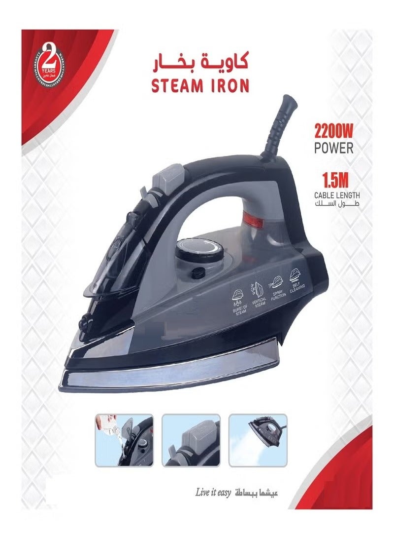 Wet and Dry Steamer 2200 Watts 