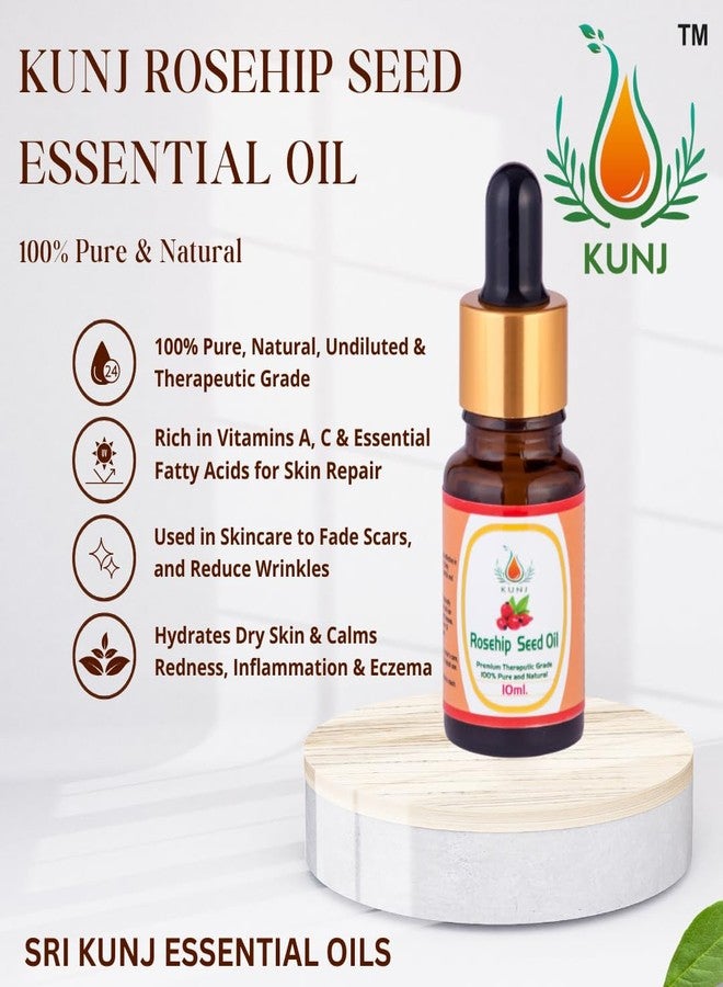 KUNJ Rosehip Seed Oil (Rosa rubiginosa) 10ML - 100% Pure & Natural, Cold Pressed, Undiluted - Therapeutic Grade Oil for Skin Care, Hydration, Anti-Aging & Radiance - Image 2