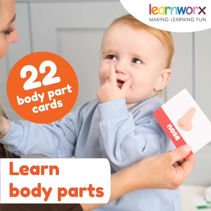 learnworx بطاقات تعليمية للأطفال | بطاقات فلاش للحروف والأرقام والأبجدية والحيوانات وألوان الكلمات | بطاقات كبيرة مثالية لرياض الأطفال | بطاقات فلاش من 12 شهرًا إلى 5 سنوات - Image 3