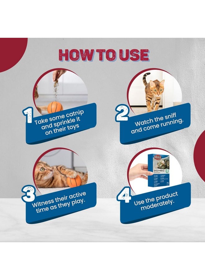 Trixie - Trixie Premium Catnip for Cats, Natural Catnip Encourages Playful Behaviour in Cats, Can be Used on Toys and Scratch Post to Engage Your Cats - 20 gm (Pack of 4) - Image 1
