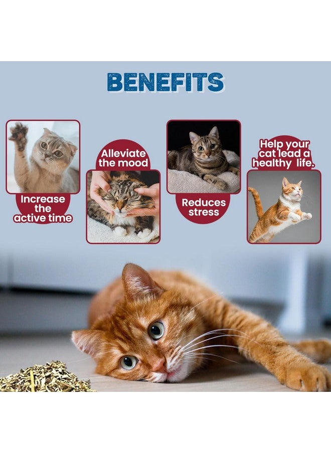 Trixie - Trixie Premium Catnip for Cats, Natural Catnip Encourages Playful Behaviour in Cats, Can be Used on Toys and Scratch Post to Engage Your Cats - 20 gm (Pack of 4) - Image 1