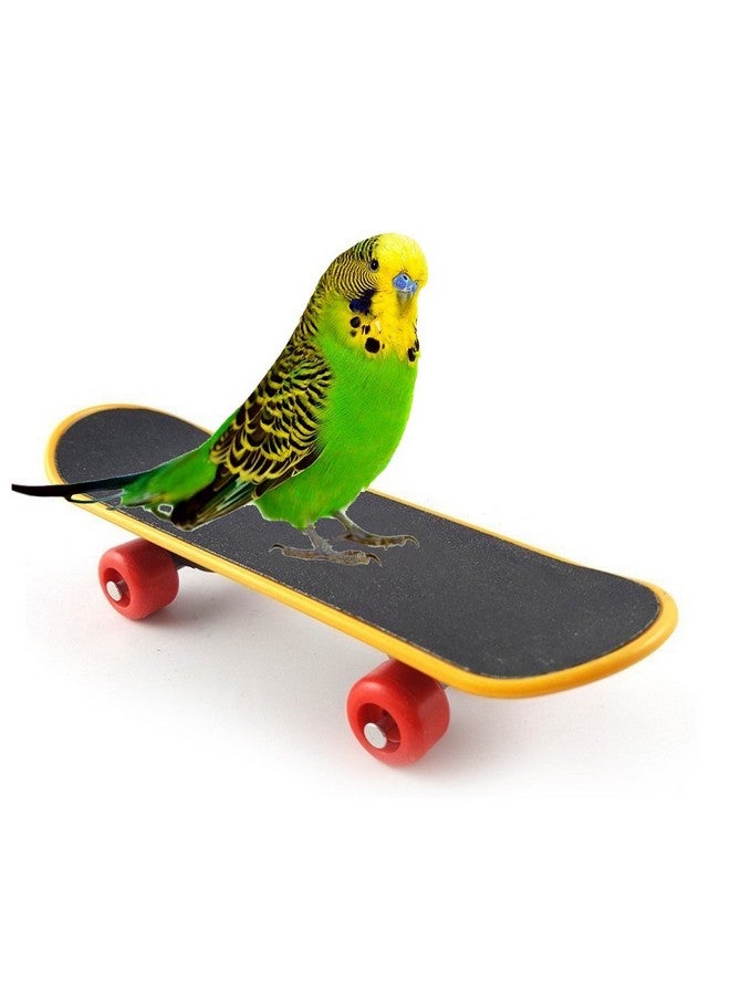 Sage Square Playful Intelligence Toy Mini Training Skateboard for Parrot, Cockatiel, Lovebird, Budgerigar, Sun Conure, Finch, African Grey, Canary, Cockatoo, Macaw, Budgeri Birds - Image 1