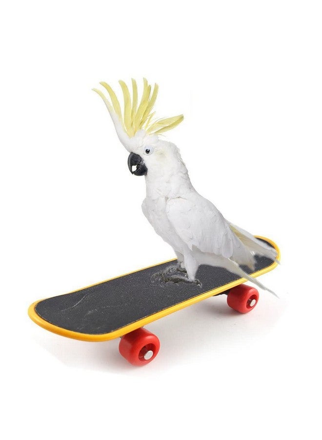 Sage Square Playful Intelligence Toy Mini Training Skateboard for Parrot, Cockatiel, Lovebird, Budgerigar, Sun Conure, Finch, African Grey, Canary, Cockatoo, Macaw, Budgeri Birds - Image 3