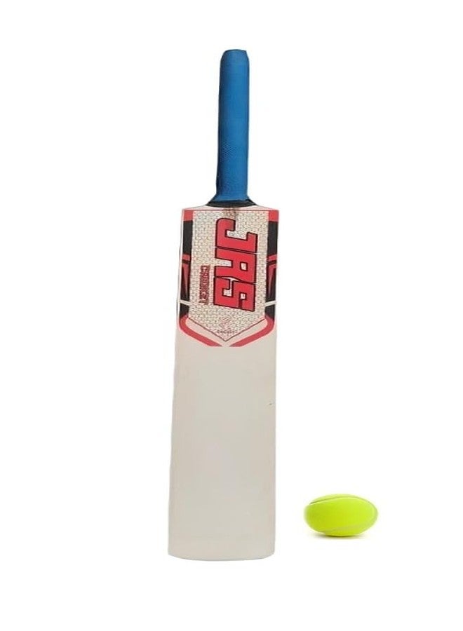 جي ار اس مضرب كريكيت JRS MR02 الشهير المصنوع من خشب الصفصاف، مع حقيبة حمل وحزام كتف، مقاس 4 (للأطفال من 8 إلى 10 سنوات)، وكرة، عبوة من قطعة واحدة، خشب - Image 4