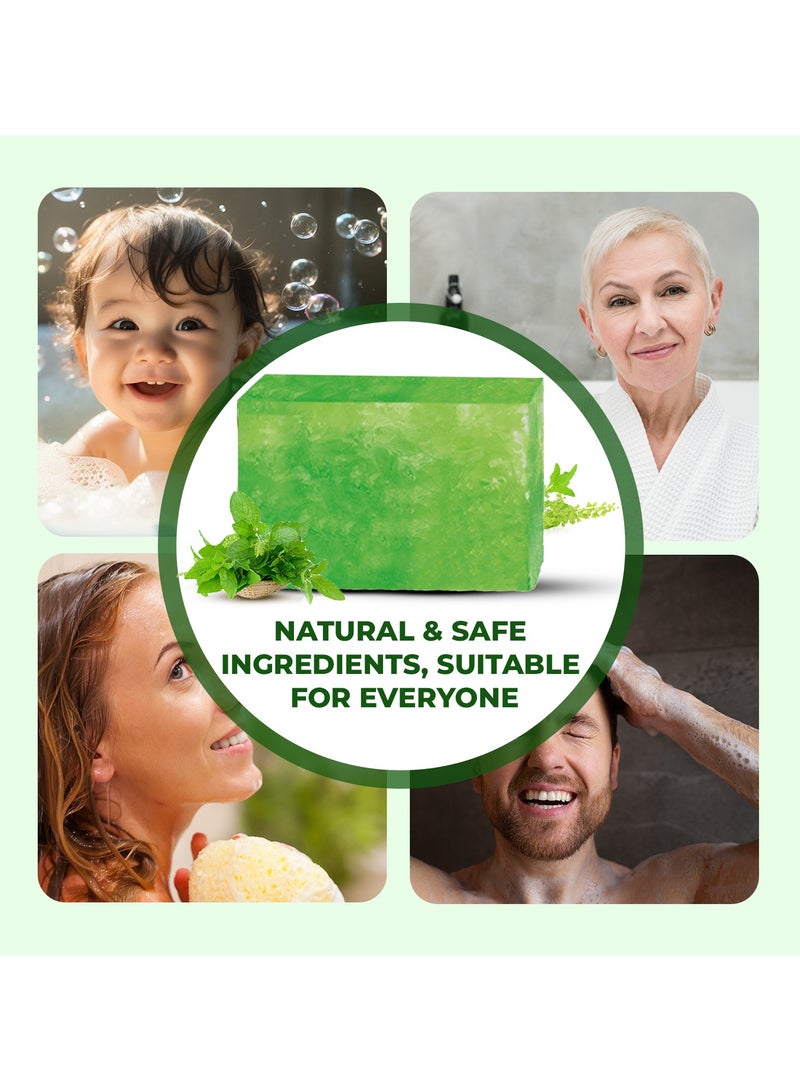 passion indulge بار حمام يدوي طبيعي من باسل بتركيبة عضوية غنية بالزيوت الأساسية | تنظيف عميق وتغذية لجميع أنواع البشرة | كل 100 جرام - عبوة من 3 - Image 4