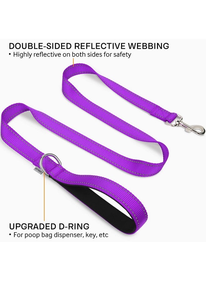 Joytale Double-Sided Reflective Dog Leash, 6 FT/5 FT/4 FT, Padded Handle Nylon Dogs Leashes for Medium & Large Dogs Walking, Purple, 4FT - Image 2