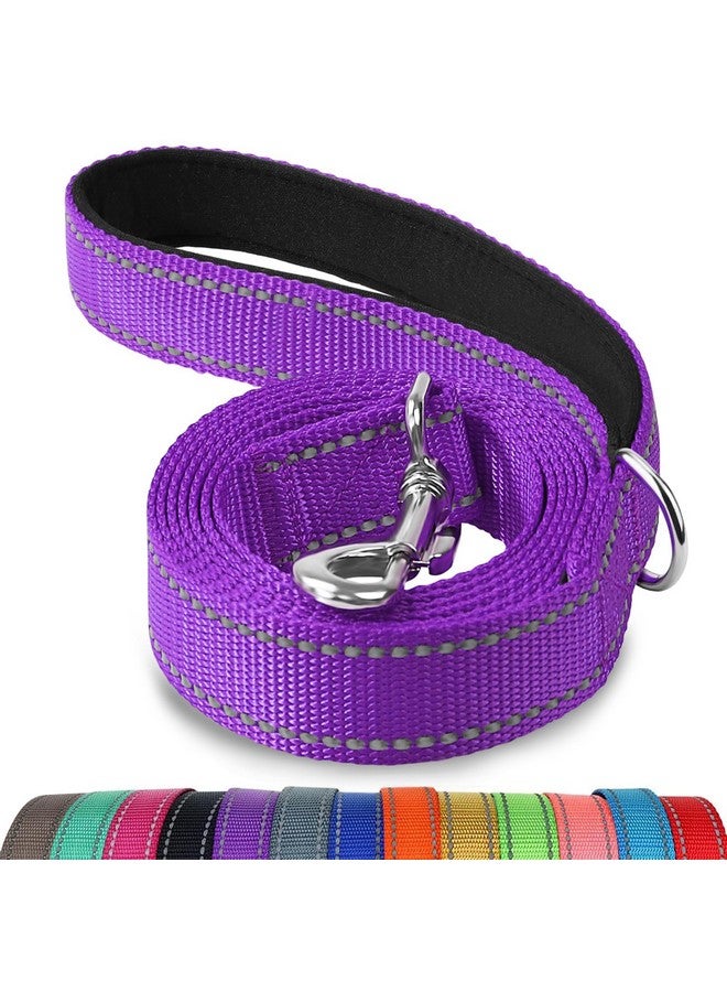 Joytale Double-Sided Reflective Dog Leash, 6 FT/5 FT/4 FT, Padded Handle Nylon Dogs Leashes for Medium & Large Dogs Walking, Purple, 4FT - Image 1