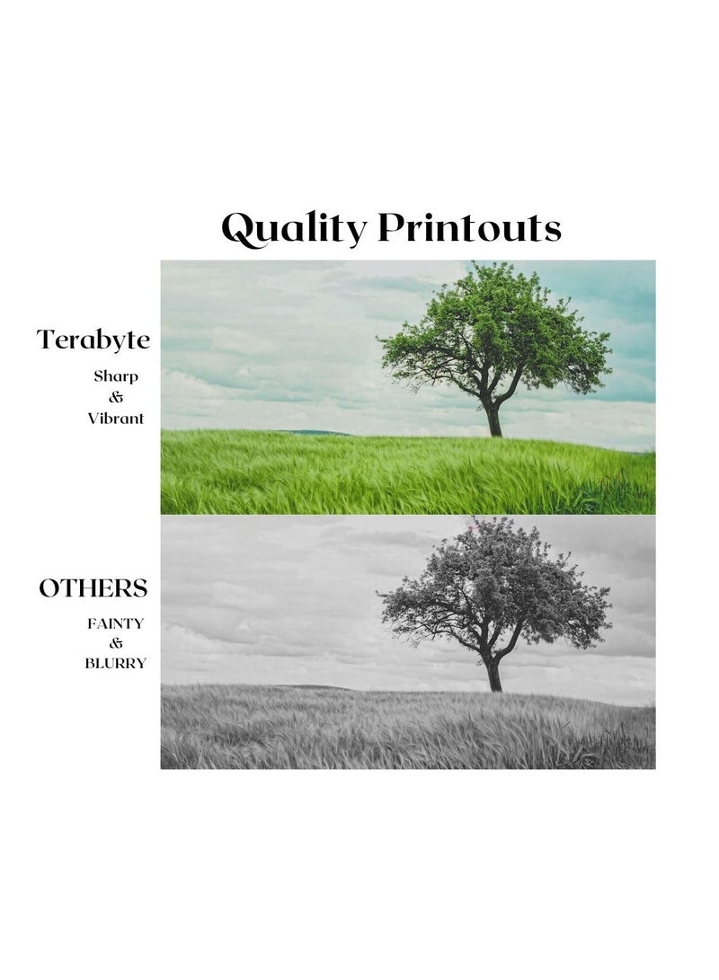 Terabyte TN325 BLACK  TERABYTE TONER - Image 4