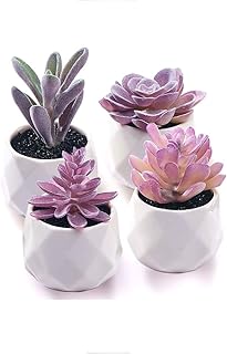 CADNLY CADNLY Fake Succulent Plant Set - Artificial Succulent Plants for Women Desk - Realistic Faux Succulents in Ceramic  - Image 1