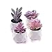 CADNLY CADNLY Fake Succulent Plant Set - Artificial Succulent Plants for Women Desk - Realistic Faux Succulents in Ceramic  - Image 2