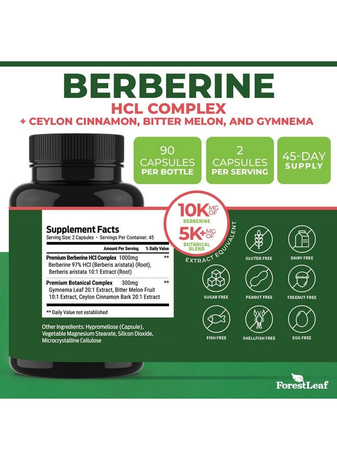 ForestLeaf مكمل بيربرين 1300 ملغ لكل حصة - 97% اختبار قوة عالية للغاية من بيربرين HCl مع قرفة سيلون، بطيخ مر، وجمنما، مستخلص 10:1 من مكملات البرباريس، إدارة الوزن، 90 كبسولة نباتية - Image 3