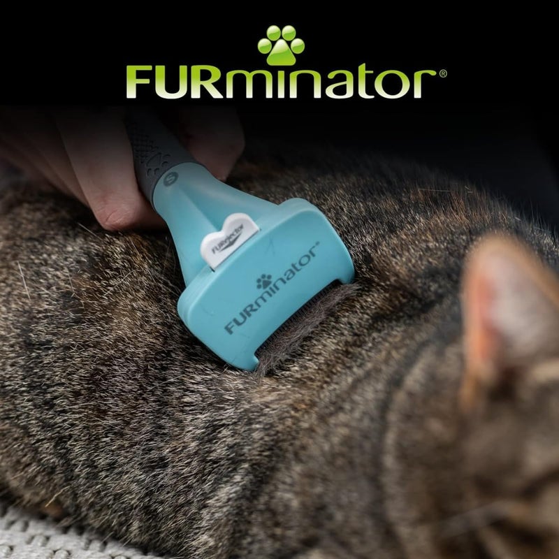 فورمينوتر أداة إزالة الشعر الزائد من الطبقة السفلية من Furminator للقطط ذات الشعر القصير الصغيرة التي يقل وزنها عن 4.5 كجم أحجام حسب خليج - Image 5
