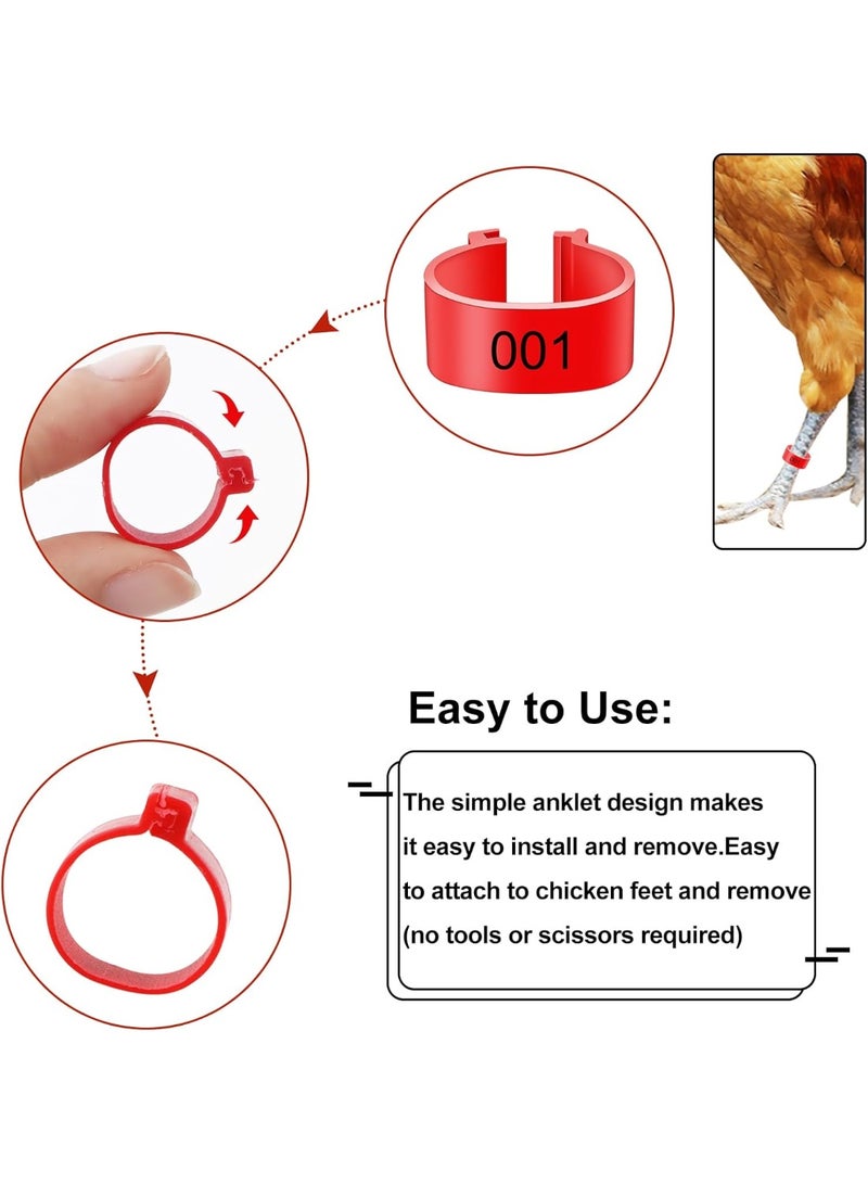 سونسر عصابات أرجل الدواجن، 16 مم، 100 قطعة، حلقات تعريف مرقمة، 5 ألوان، للدجاج والبط والأوز - Image 3