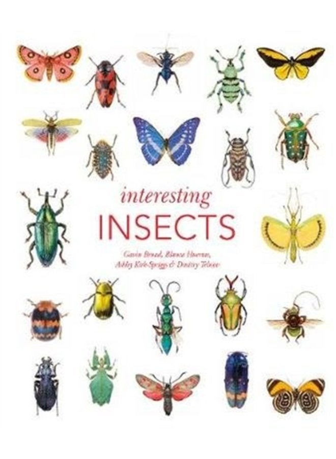 Interesting Insects - Hardback