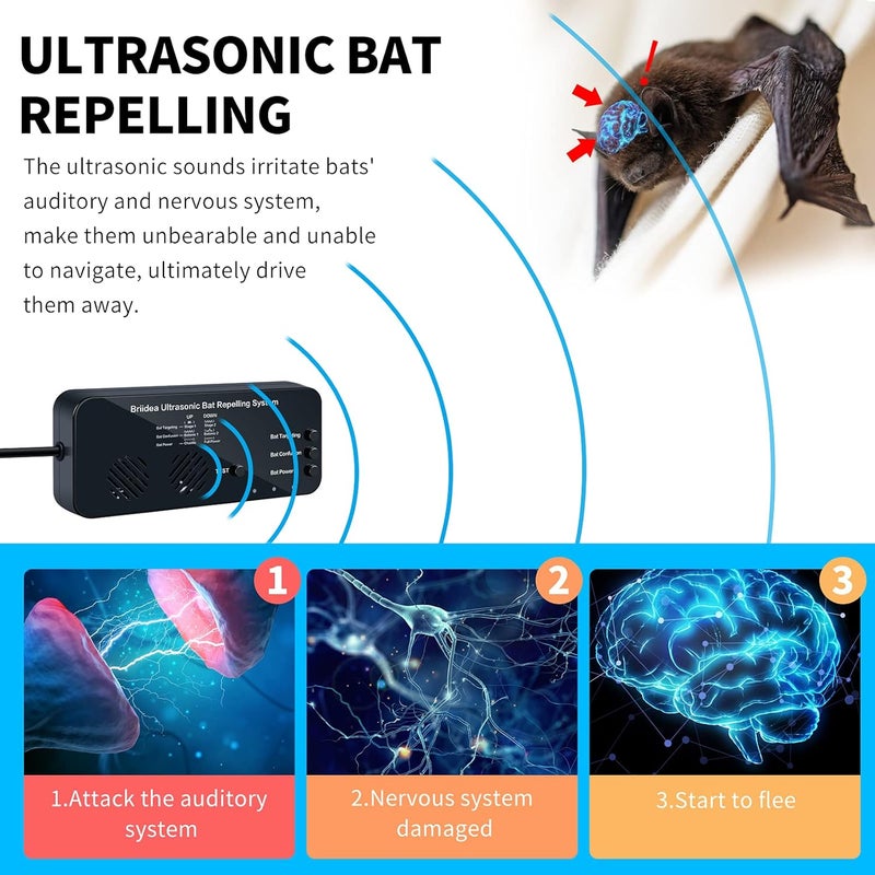 briidea Ultrasonic Bat Removal, Bat Away System, Demands Bats to Flee, Human and Pet Safe - Image 2