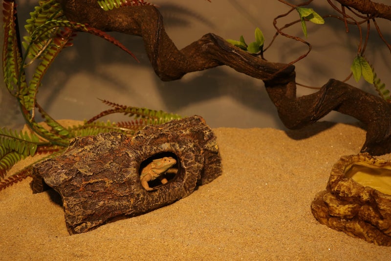 AQUA KT Reptile Climbing Cork Bark Tree Hollow Log Snake Gecko Hide for Terrarium Amphibian Habitat Decoration - Image 3