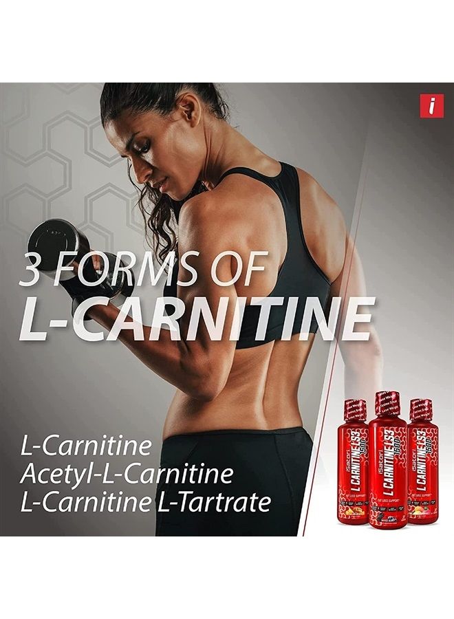 iSatori L-Carnitine LS3 Concentrated Liquid Metabolic Enhancer and Energy Booster - Health and Fitness - Keto Friendly - Stimulant Free - Lemon Lime 3000mg (32 Servings) - Image 3