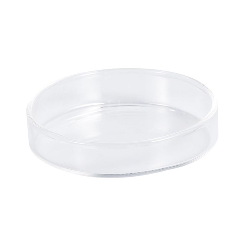 Glass Shrimp Feeder Dish For Aquarium Reptiles 1 Piece Clear - Image 2