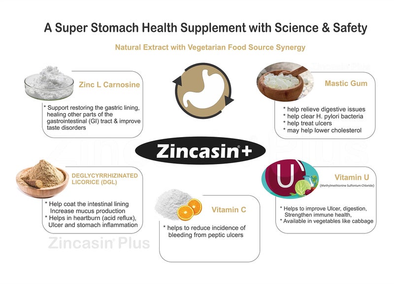 Zincasin +Plus Advanced Digestive Tract Lining Repair Aid | Gut Mucosal Barrier Enhancer for Nutrient Absorption, Gastric Discomfort, Leaky Gut, Stomach Ulcer, H.pylori Support | Zinc L-Carnosine, DGL Licorice Root Extract, Mastic Gum, Vitamin U & C - 30 Tablets LeeWell Pharma - Image 2