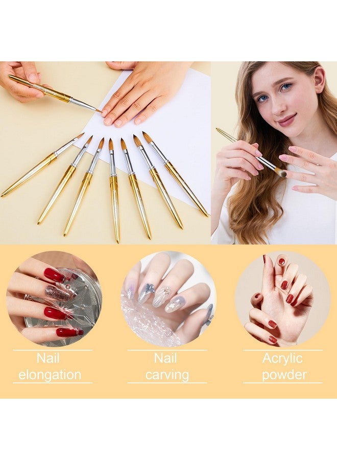 KEMEISI 6Pcs Acrylic Nail Brush Set Size 02/06/08/10/12/16 Kolinsky Nail Art Brushes For Acrylic Application Sturdy Handle Oval Shaped Acrylic Powder Nail Design Tools For Professional Manicure Diy  - Image 3
