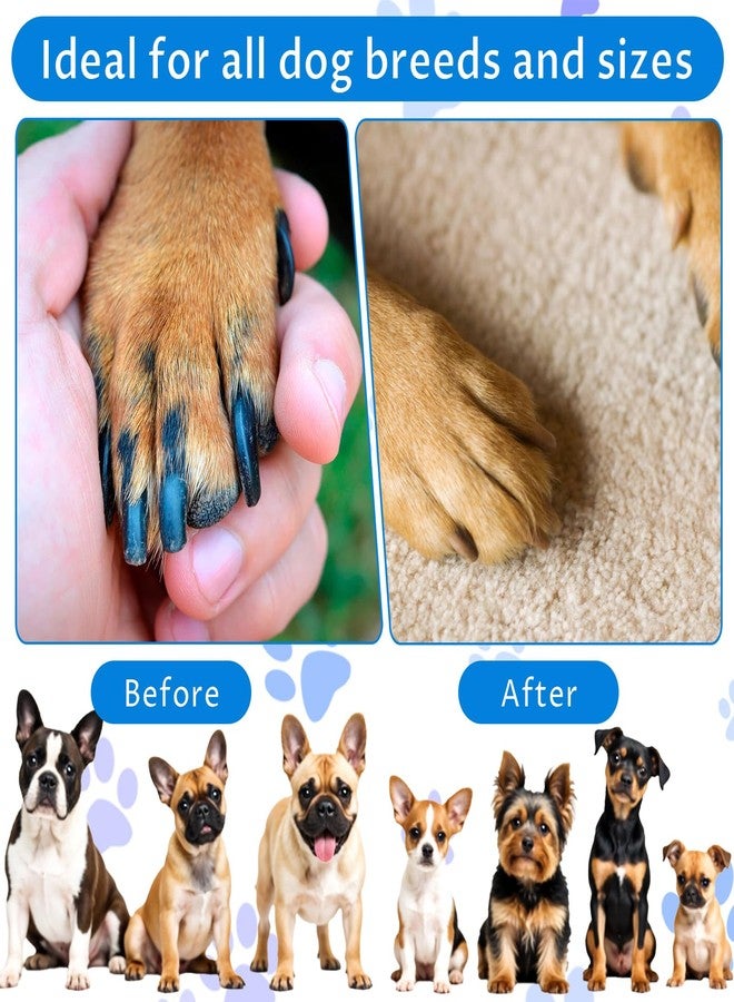 Grevosea Dog Nail Scratch Board, 3 in 1 Dog Scratch Board Rotatable Round Pad for Nails with Treat Box Dogs Nail File Toy Scratching Boards for Dogs Shorten Dog’s Side Nails Easier - Image 5