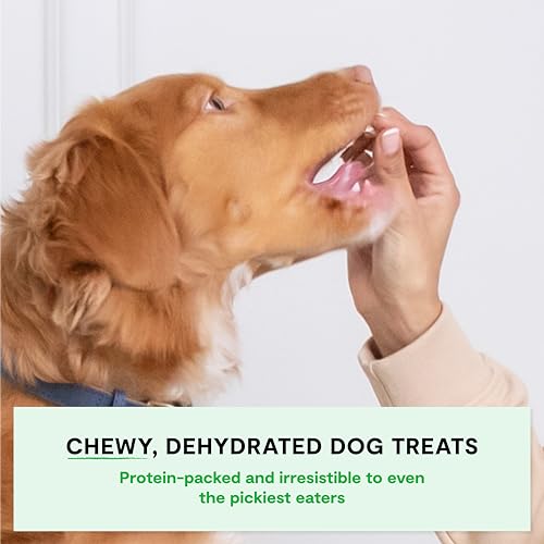Open Farm, Dehydrated Dog Treats, High Protein & Low Carbohydrate Dog Snacks, Chewy Texture, Made with Ethically & Sustainably Sourced Ingredients, Turkey Recipe, 4.5oz Pouch - Image 2