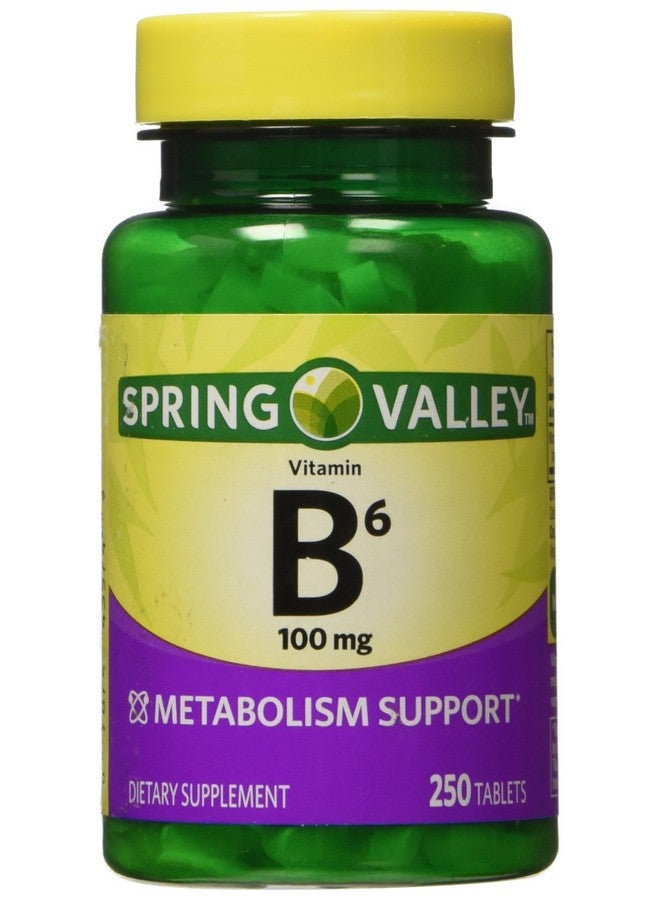 Spring Valley - Vitamin B-6 (Pyridoxine) 100 mg, 250 Tablets - Image 1