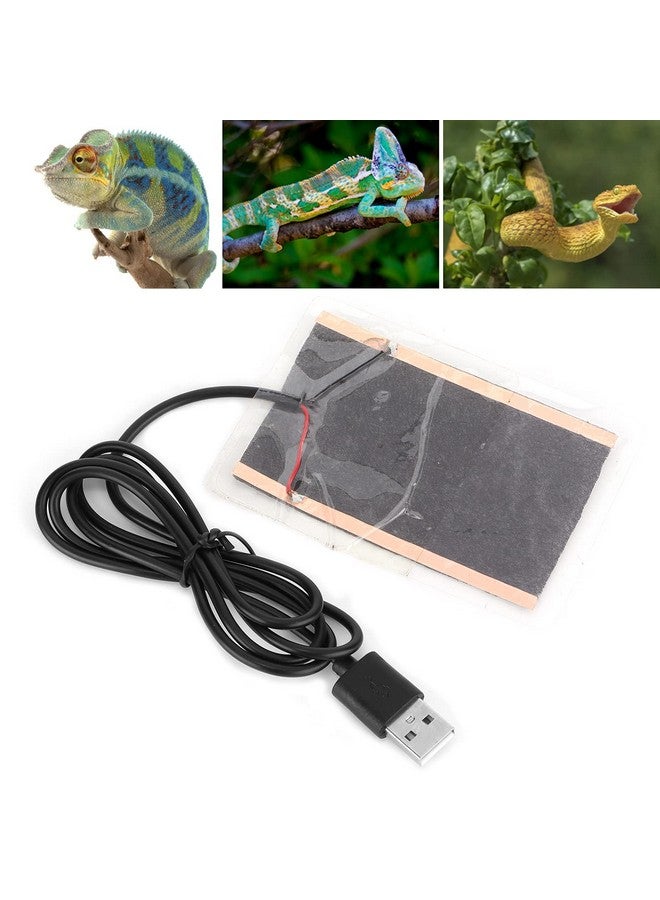 Generic Generic Reptile Heat Pad, USB Heating Pad Reptile Heating Pad 5W Portable USB Carbon Fiber Heating Mat USB Heating Film Heat Pad for Reptiles Gloves Snacks  - Image 5