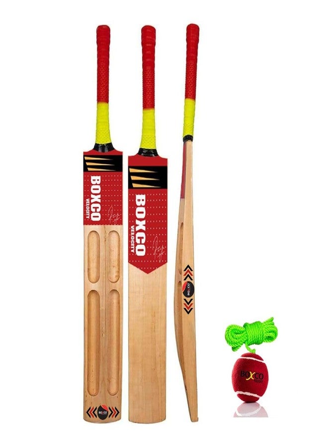 BOXCO Velocity Wooden Cricket Bat with Tennis Ball Durable Bat & Hanging Practice Ball Set - Image 1
