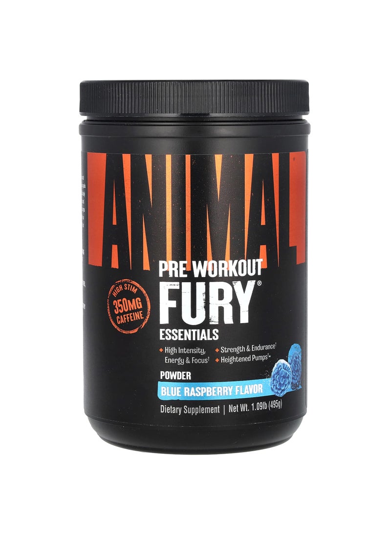 Fury® Essentials, Pre Workout, Blue Raspberry, 1.09 lb (495 g)