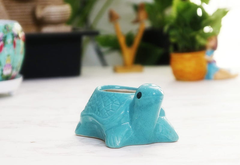 Leafy Tales Turtle Shape Ceramic Pot, Aqua, 4 Inch Size 1 pc - Image 1