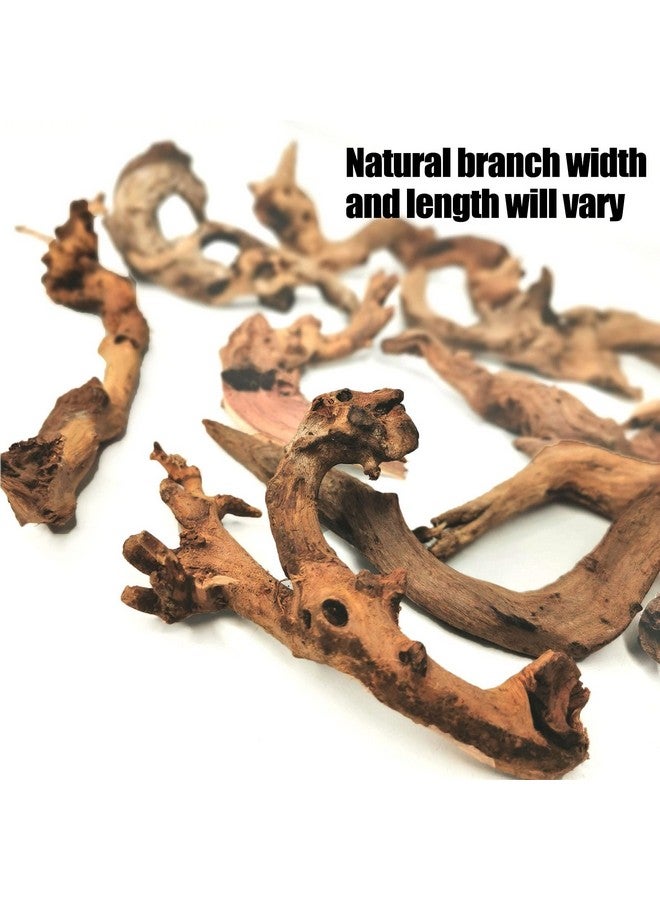 Hamiledyi Aquarium Driftwood 10 PCS Natural Wood Driftwood Branches Fish Tank Habitat Decor Sinkable Reptile Tree Log Decorations Assorted Terrarium Ornament for Aquarium Fish Reptiles Tank Small - Image 3