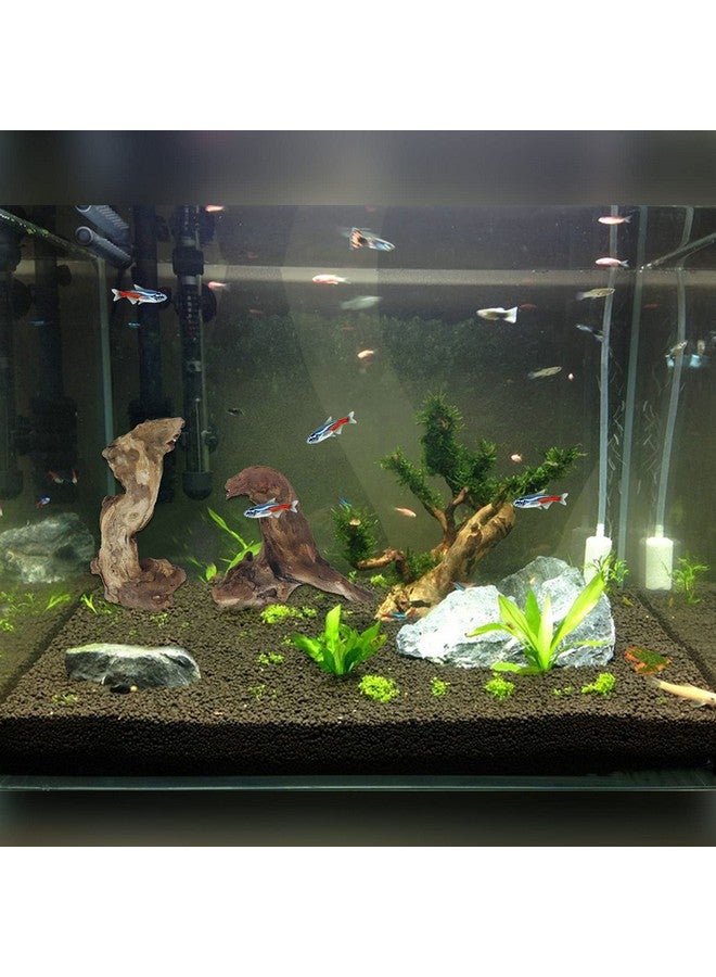 Hamiledyi Aquarium Driftwood 10 PCS Natural Wood Driftwood Branches Fish Tank Habitat Decor Sinkable Reptile Tree Log Decorations Assorted Terrarium Ornament for Aquarium Fish Reptiles Tank Small - Image 2
