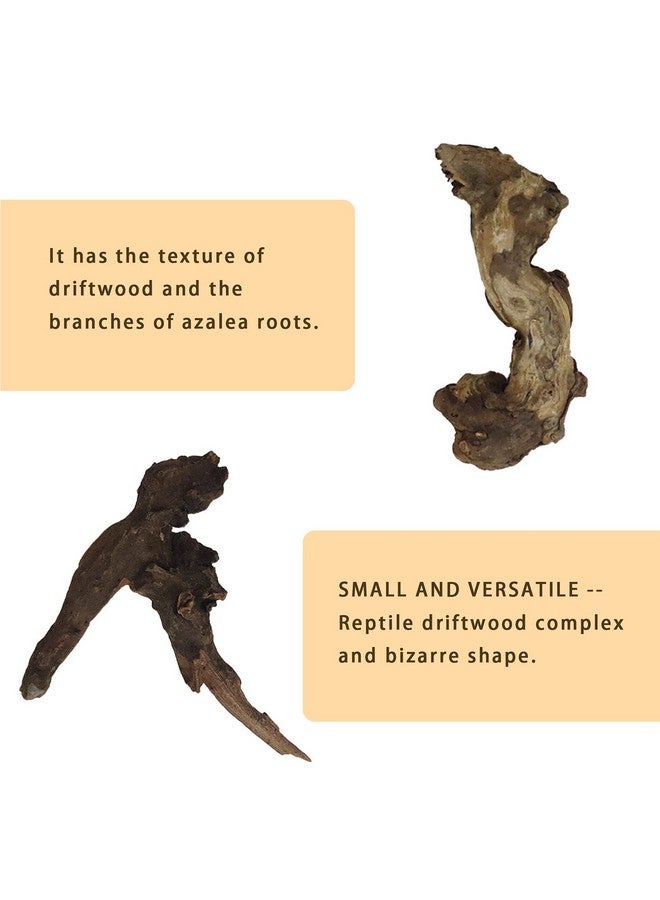 Hamiledyi Aquarium Driftwood 10 PCS Natural Wood Driftwood Branches Fish Tank Habitat Decor Sinkable Reptile Tree Log Decorations Assorted Terrarium Ornament for Aquarium Fish Reptiles Tank Small - Image 4