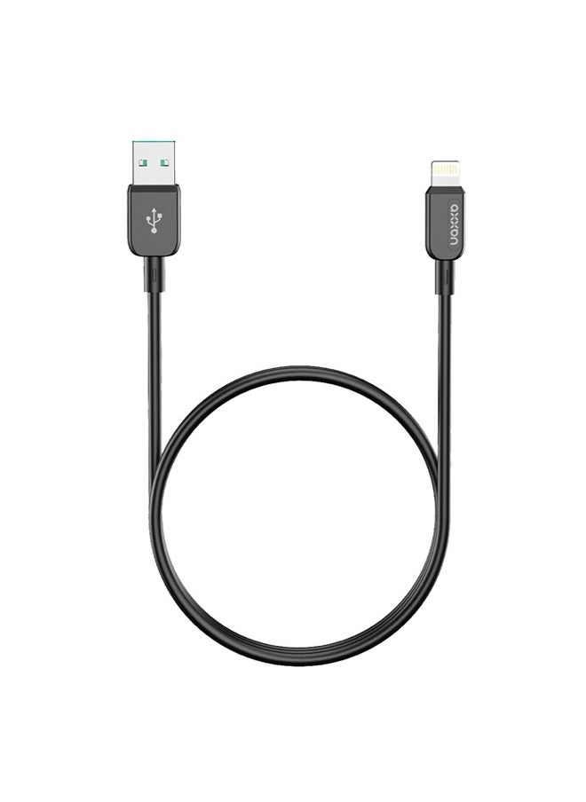 AXXAN - USB To Lightning iPhone Cable With Smart Volt Rush Technology - Image 1