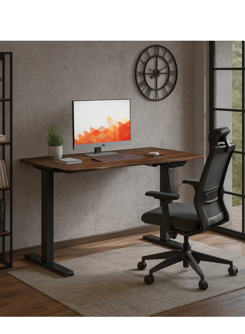 Sky Land Electric Height Adjustable Desk, Ergonomic Sit-Stand Desk with Wireless Charging, USB&Type-C Ports, Home Office Workstation (Black) - Image 1