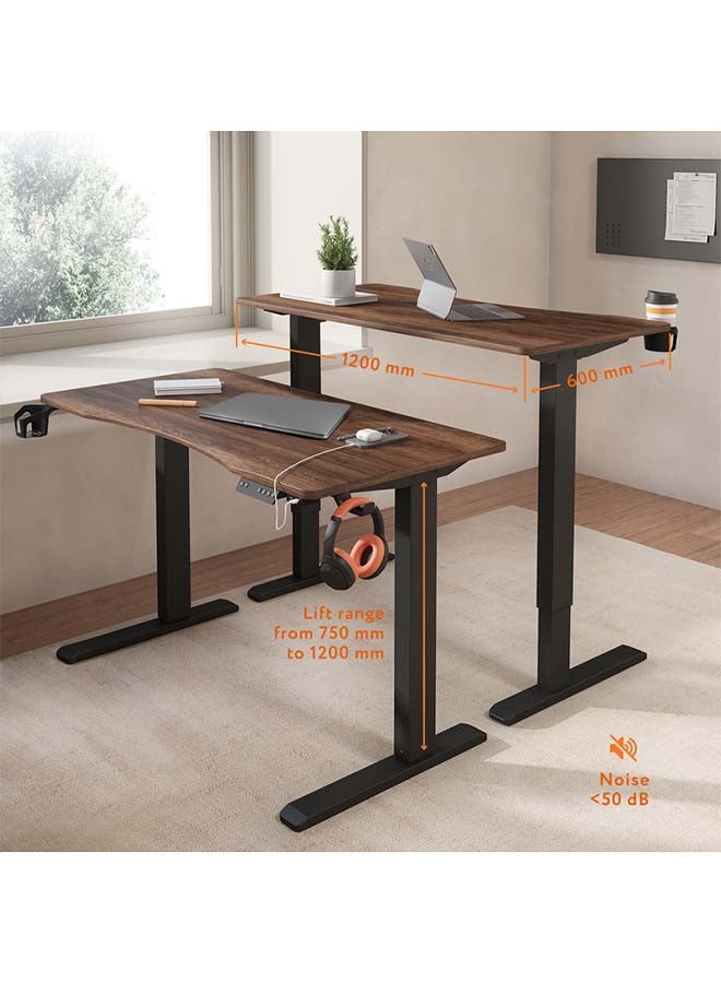 Sky Land Electric Height Adjustable Desk, Ergonomic Sit-Stand Desk with Wireless Charging, USB&Type-C Ports, Home Office Workstation (Black) - Image 3