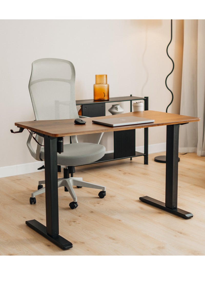 SkyLand Electric Height Adjustable Desk, Ergonomic Sit-Stand Desk with Wireless Charging, USB&Type-C Ports, Home Office Workstation (Black)  - Image 1