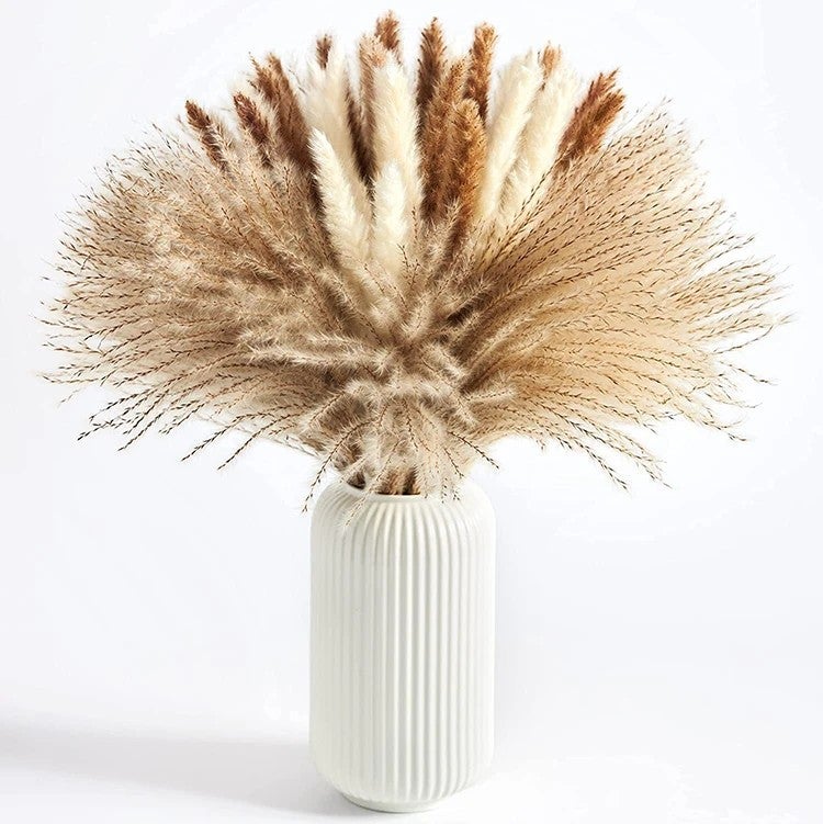 Y&D Large Natural Dried Pampas Grass - 3-4 Ft Tall, Natural Brown, Perfect for Home Decor & Wedding Flower Arrangements, Dried Plants Included - Image 2