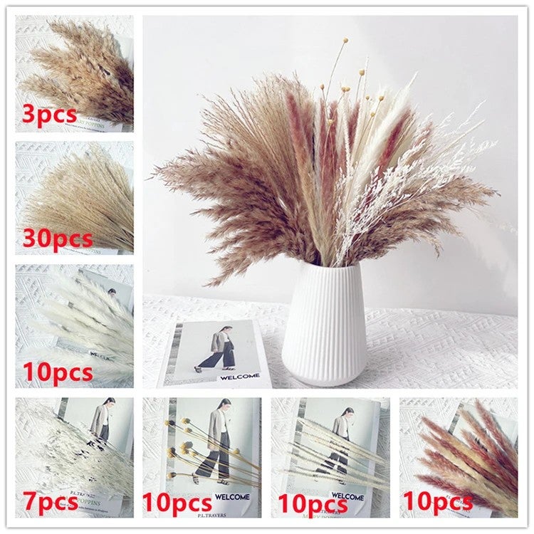 Y&D Large Natural Dried Pampas Grass - 3-4 Ft Tall, Natural Brown, Perfect for Home Decor & Wedding Flower Arrangements, Dried Plants Included - Image 1