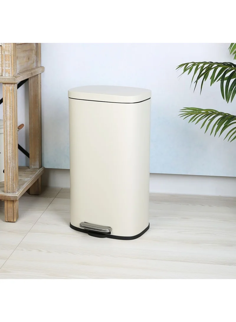 DANUBE HOME Falcon 30L Pedal Bin Soft Close Iron With Powder Coating 34 X 23.5 X 63.5Cm