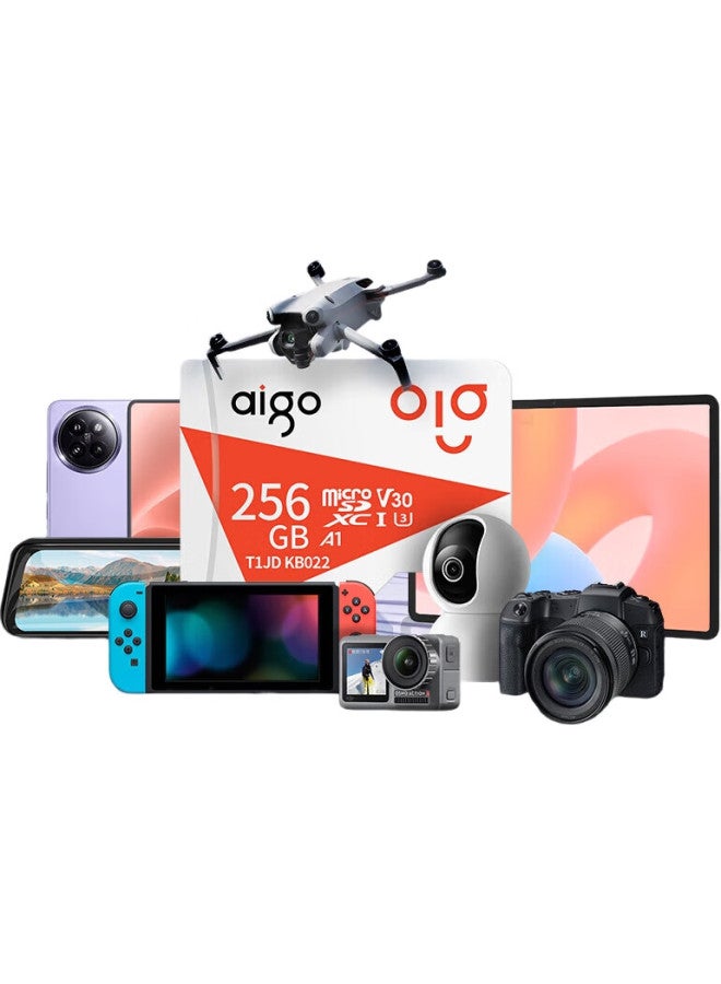 aigo بطاقة ذاكرة Aigo 256 جيجابايت Tf (ميكرو SD) ، بطاقة ذاكرة U3 A1 V30 4K ، تخزين للكاميرات وكاميرات داش وكاميرات المراقبة ، سرعة قراءة T1Jd 100 ميجابايت/ثانية - Image 2