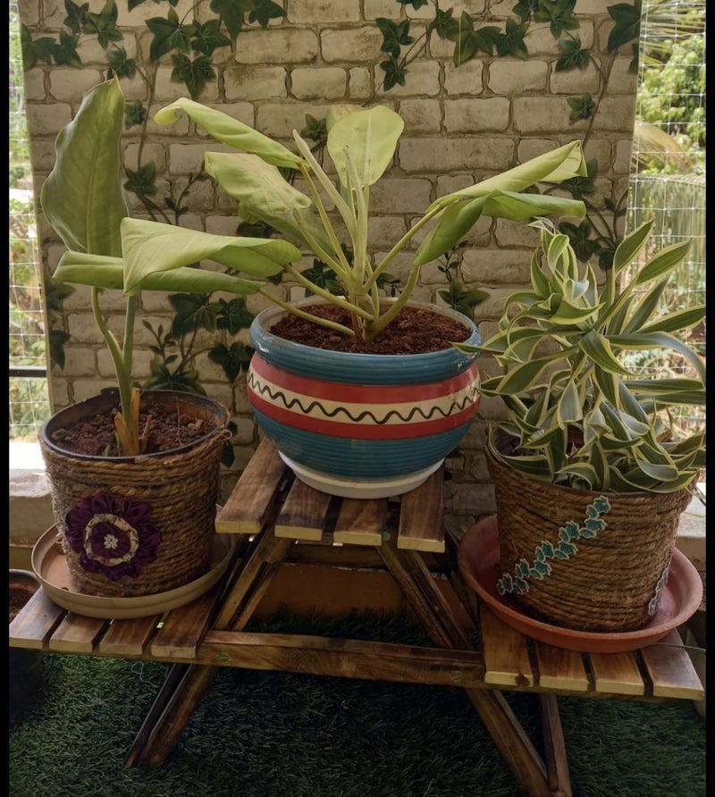 VDIX Plant Stand with 3 Decks Outdoor Plant Stand Wooden Folding Flower Pot Table/Wooden Stand for palanter/Home Decor Table - Image 5